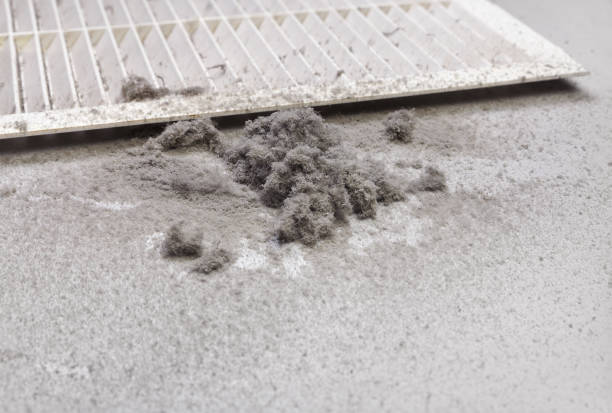 Best Air Duct Cleaning Near Me  in Kingsland, GA