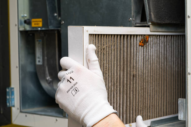 Best HVAC Air Duct Cleaning  in Kingsland, GA