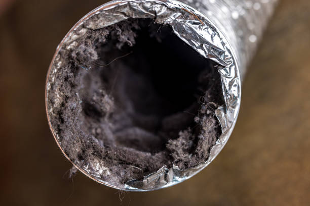 Best Ductwork Cleaning Services  in Kingsland, GA